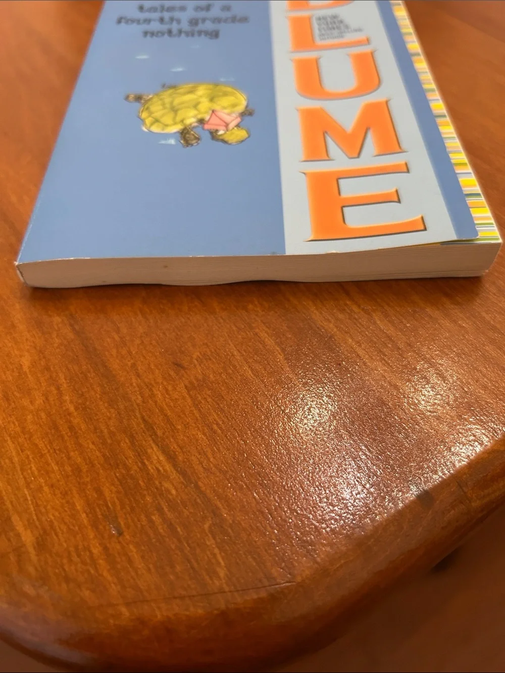 NEW Judy Blume Paperback Book Set